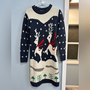 Christmas Sweater Dress